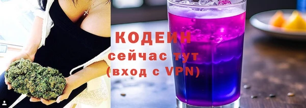 таблы Бородино