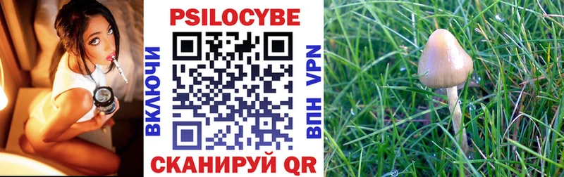 Псилоцибиновые грибы Cubensis  Новозыбков 